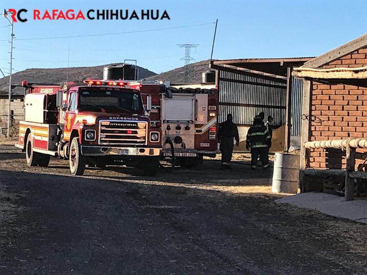 Se incendian 40 pacas de pastura en granja de la carretera a Cuauhtémoc