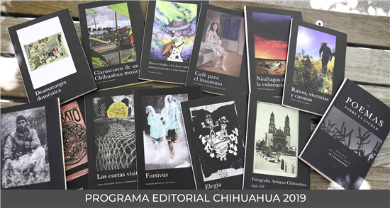 46 participantes en Programa Editorial Chihuahua