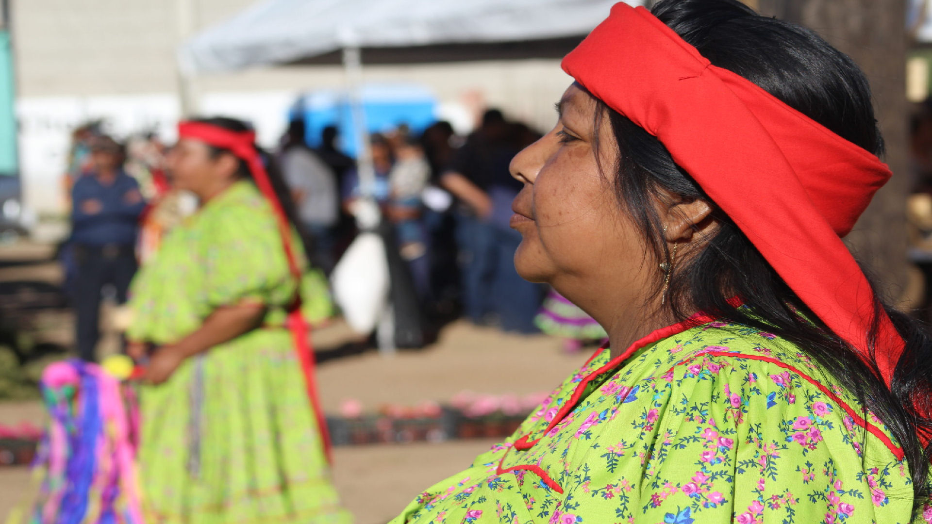 Conmemoran Día Internacional de la Lengua Materna con eventos virtuales