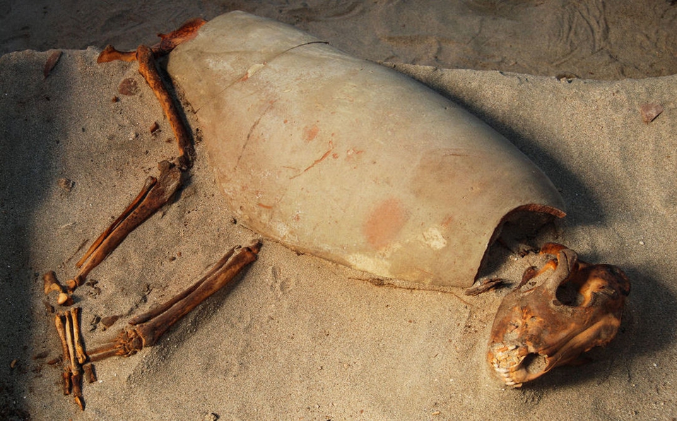 Descubren cementerio de mascotas más antiguo del mundo