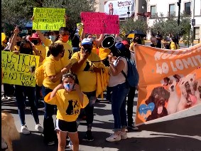 Protestan frente a Palacio de Gobierno por envenenamiento masivo de perros y gatos en Los Arcos