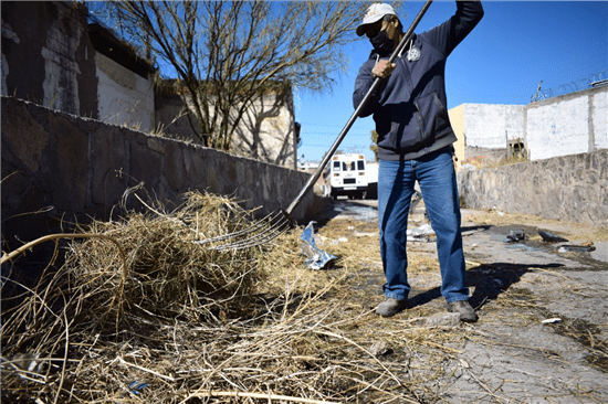 Retiran basura y maleza de arroyos de la ciudad