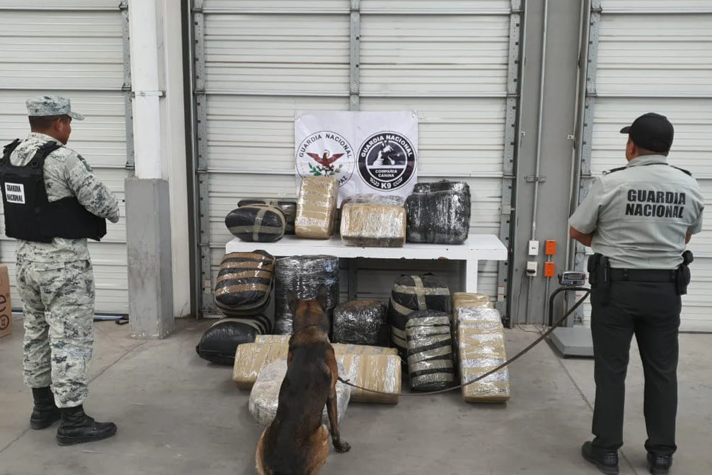 Ejército aseguró 120 kilos de droga en Chihuahua y Tamaulipas