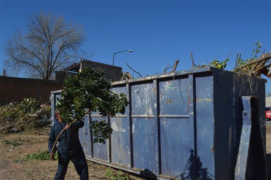 Colocan en Chihuahua Capital contenedores para depositar ramas de árboles