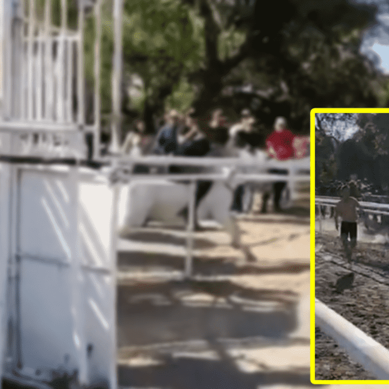 Mexicano gana corriendo a caballo de carreras y rompe con las apuestas