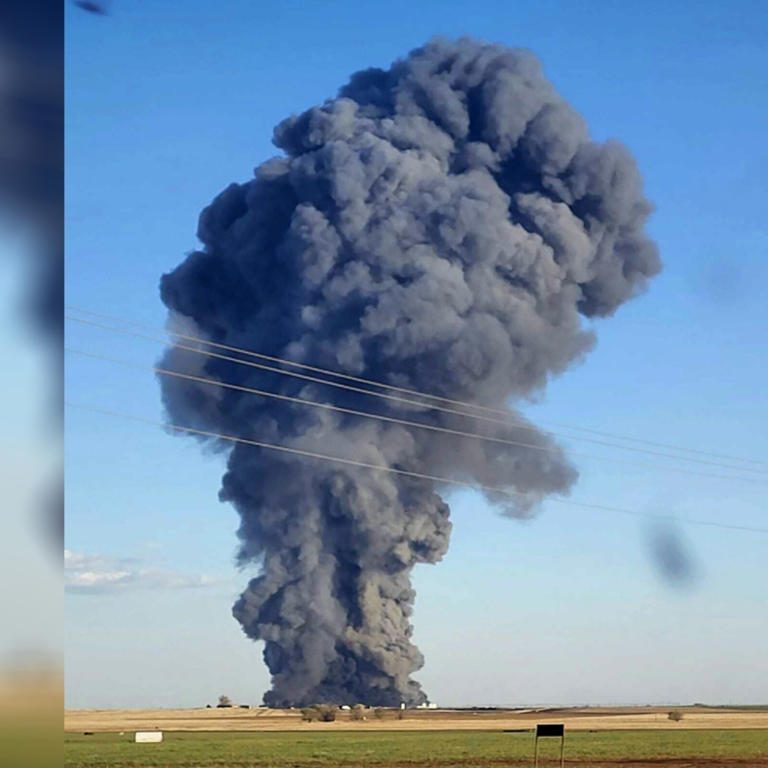 ¡Devastación en Texas! Explosión deja 18 mil reses muertas en granja lechera