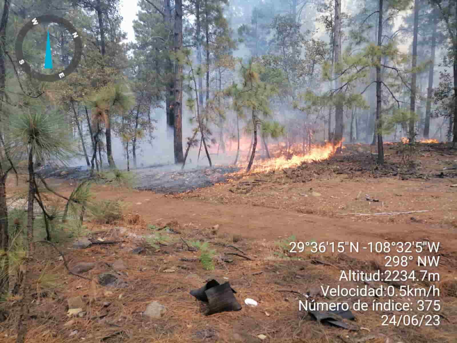 Atiende Estado incendios en Madera a través de grupo interinstitucional