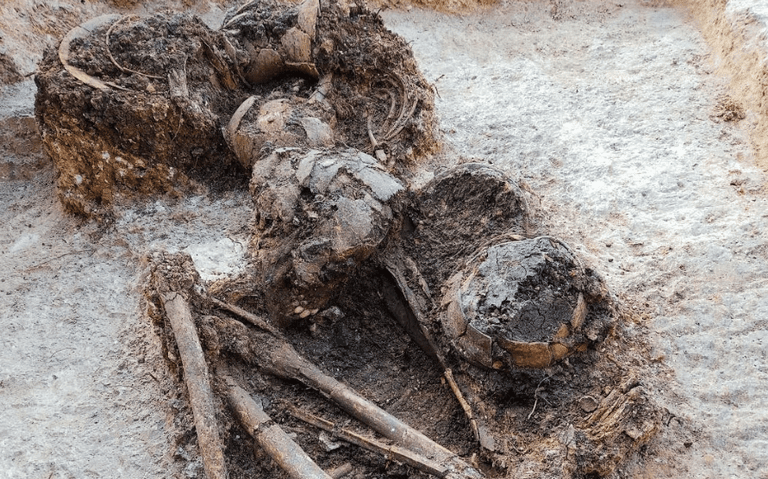 Hallan muestra osteológica más grande de los últimos tiempos en Tamaulipas