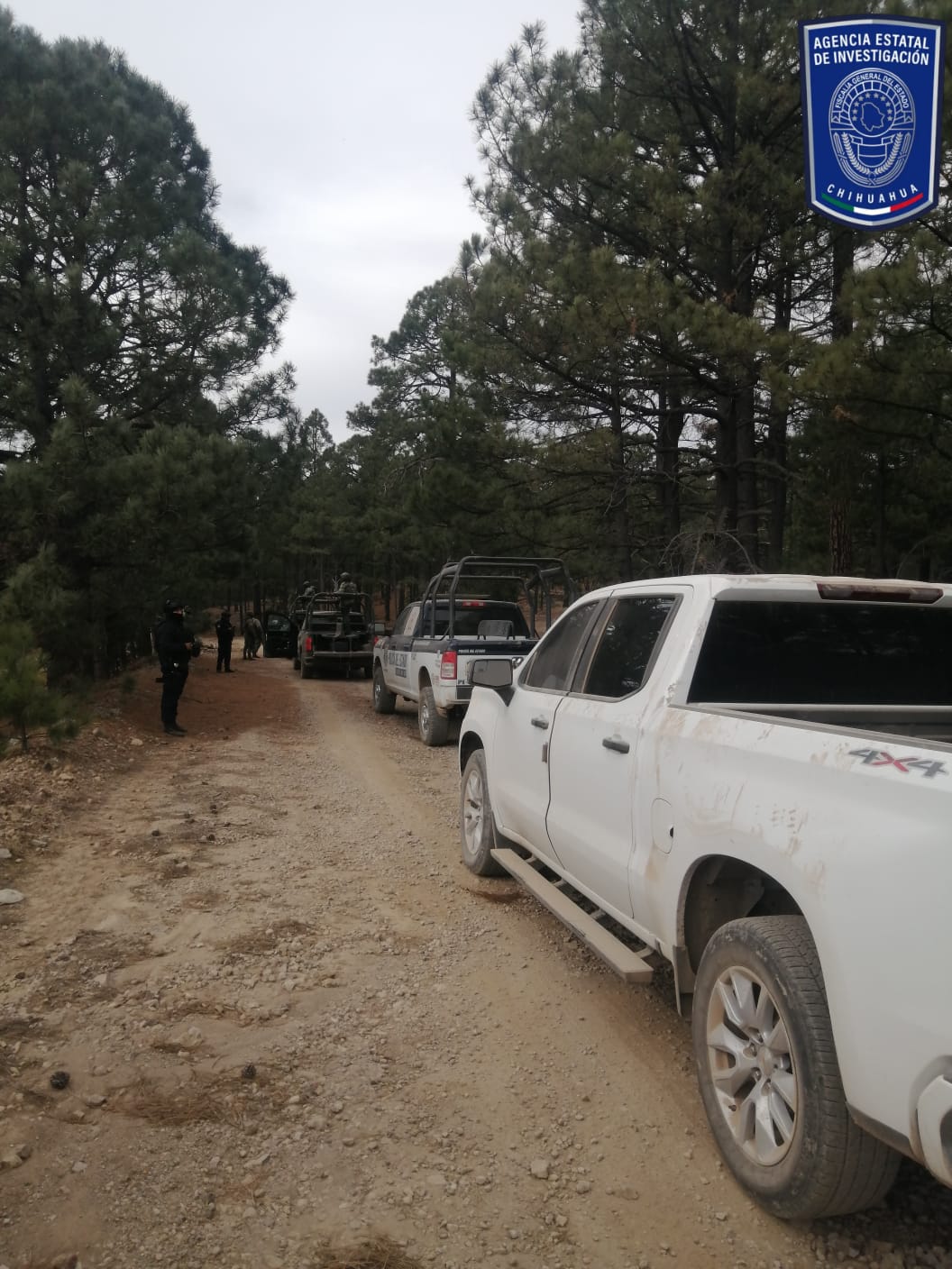 Realizan recorrido de vigilancia en la zona de El Largo Maderal