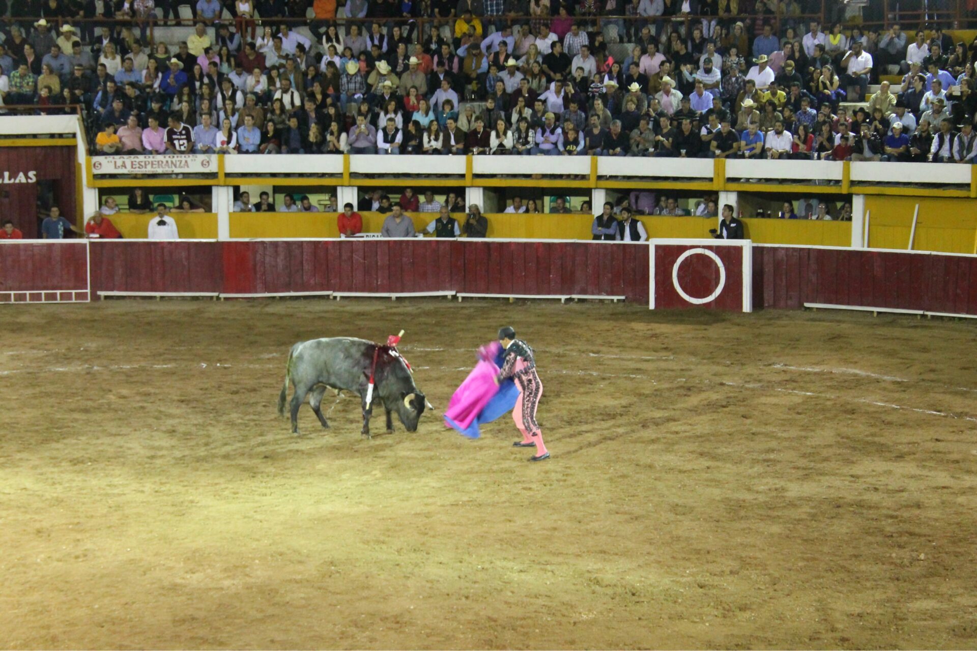 CONSULTA PÚBLICA SOBRE LAS CORRIDAS DE TOROS EN CHIHUAHUA. . . PROTESTAN MAESTROS JUARENSES. . . 5 PRIISTAS VAN POR SU DIPUTACIÓN FEDERAL, ALEX DOMINGUEZ POR EL 8 Y TONY MELENDEZ POR EL 5. . .