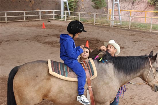 Estos son los servicios de rehabilitación que brinda el Centro Municipal de Equinoterapia