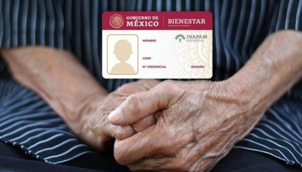 Conoce los requisitos y pasos para obtener la nueva tarjeta del INAPAM