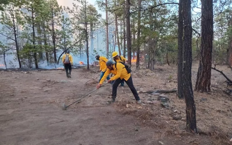 Combaten brigadas 16 incendios forestales activos en la entidad