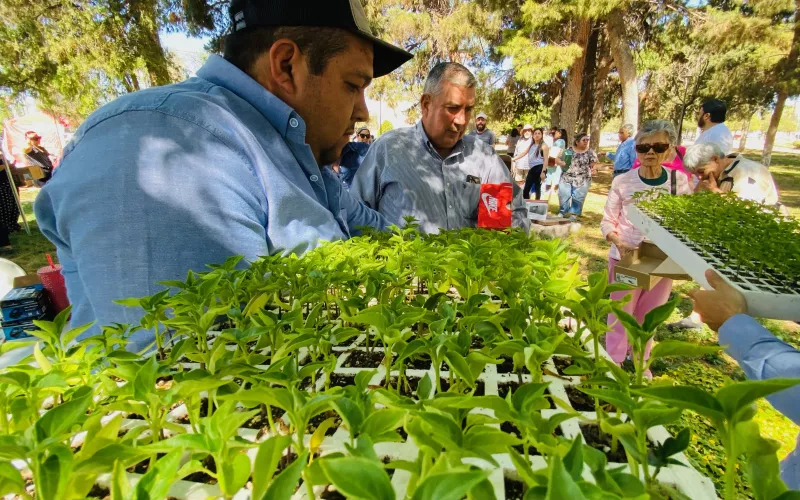 Entregan 10 mil plántulas y 370 cajas con semillas de hortaliza