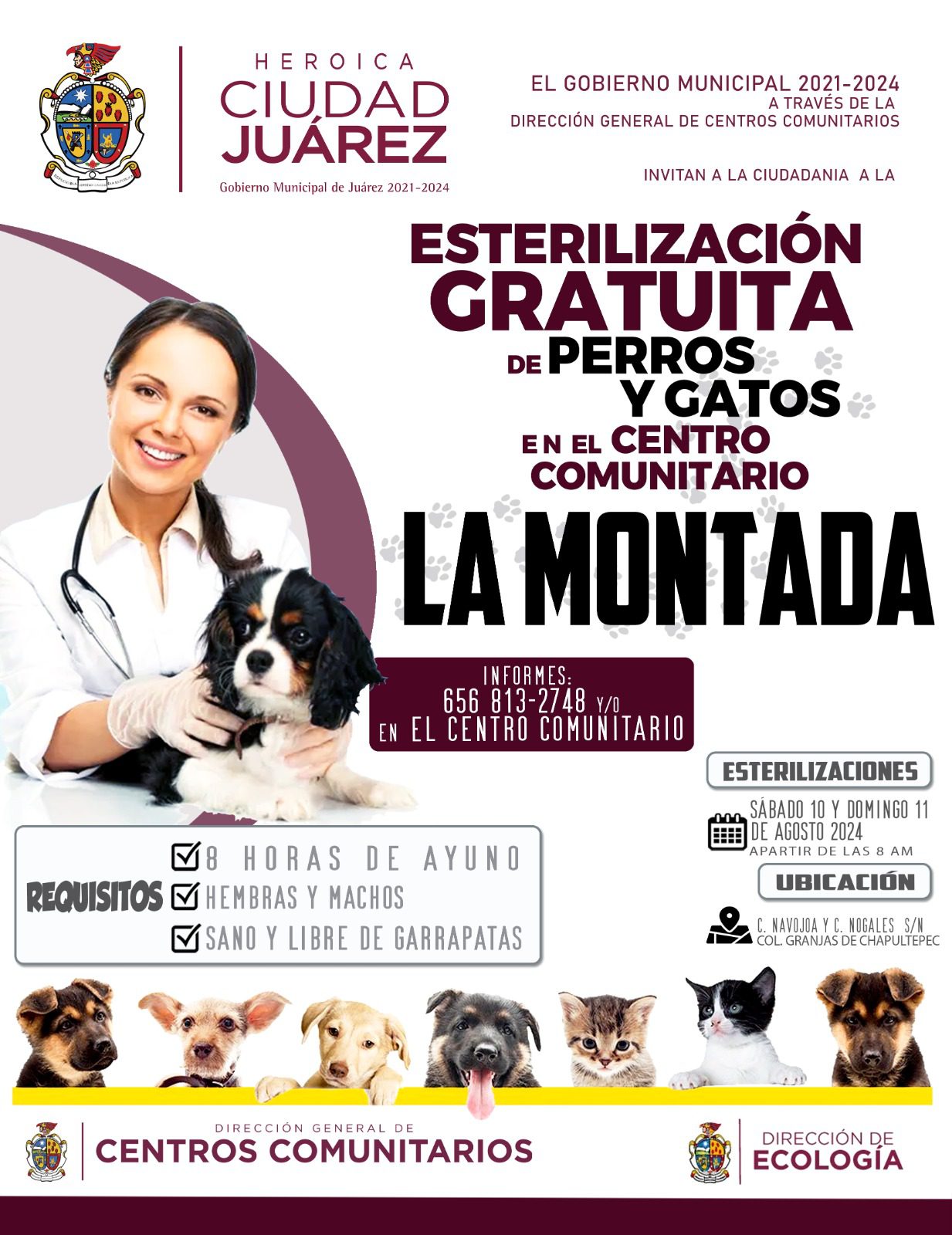 Invitan a la Campaña de Esterilización Gratuita en el Centro Comunitario La Montada de Ciudad Juárez