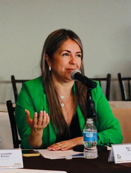 PROPONE ROSANA DÍAZ REFORMA A LA LEY DE PARTICIPACIÓN CIUDADANA. . . CONSULTA INDÍGENA. . . DONARÁ JUÁREZ TERRENOS AL IMSS. . .