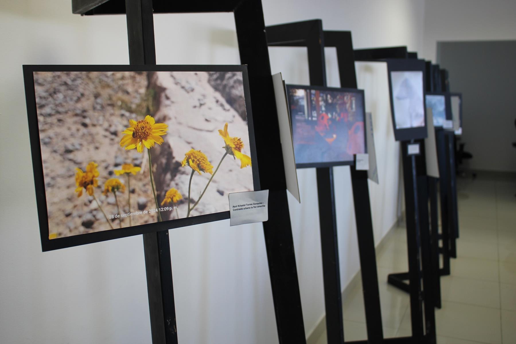 Realiza SEyD Concurso de Fotografía y Video en Secundarias