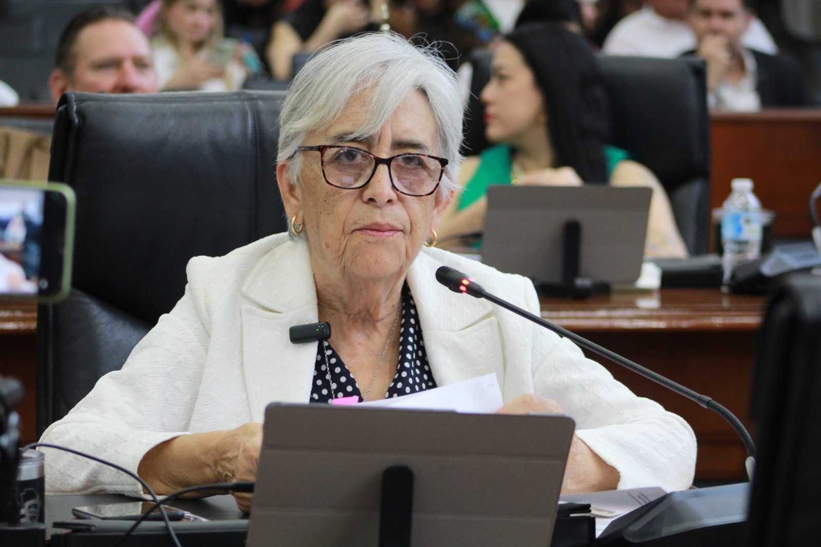 Código penal del Chihuahua discrimina a personas con discapacidad o neuro divergentes y es necesario reformarlo