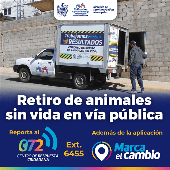 Municipio ofrece servicio de retiro de animales sin vida en la vía pública