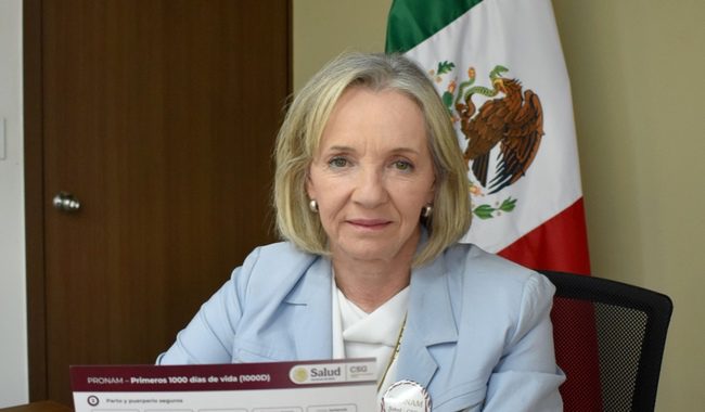 Protocolo Nacional de Atención Médica de los Primeros 1000 Días de Vida: uno de los pilares del nuevo enfoque de salud pública en México