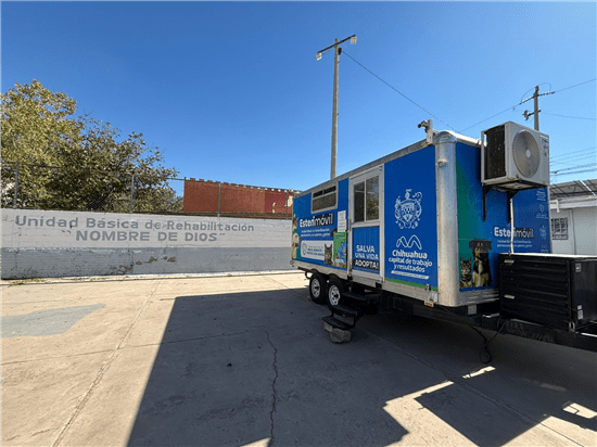 Brindarán esterilización gratuita para mascotas en colonia Nombre de Dios