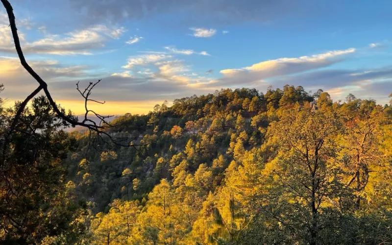 Permanecerán bajas temperaturas en la entidad por ingreso del frente frío 32