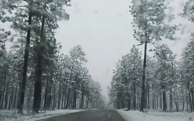 Registra Protección Civil presencia de nieve en tres municipios del estado