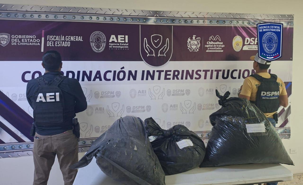 Asegura AEI 34 kilogramos de mariguana en la carretera a Aldama