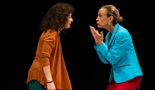 EL CENART PRESENTA LAS HERMANAS VALS, DIRIGIDA POR PILAR BOLIVER