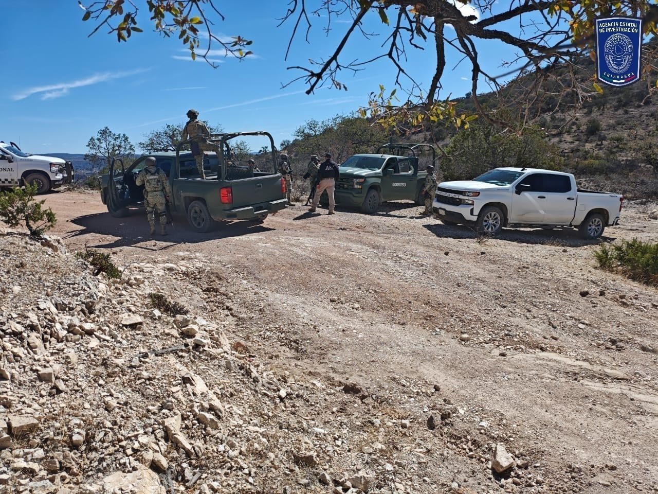 Detienen en Nonoava a civil armado y destruyen cuatro campamentos
