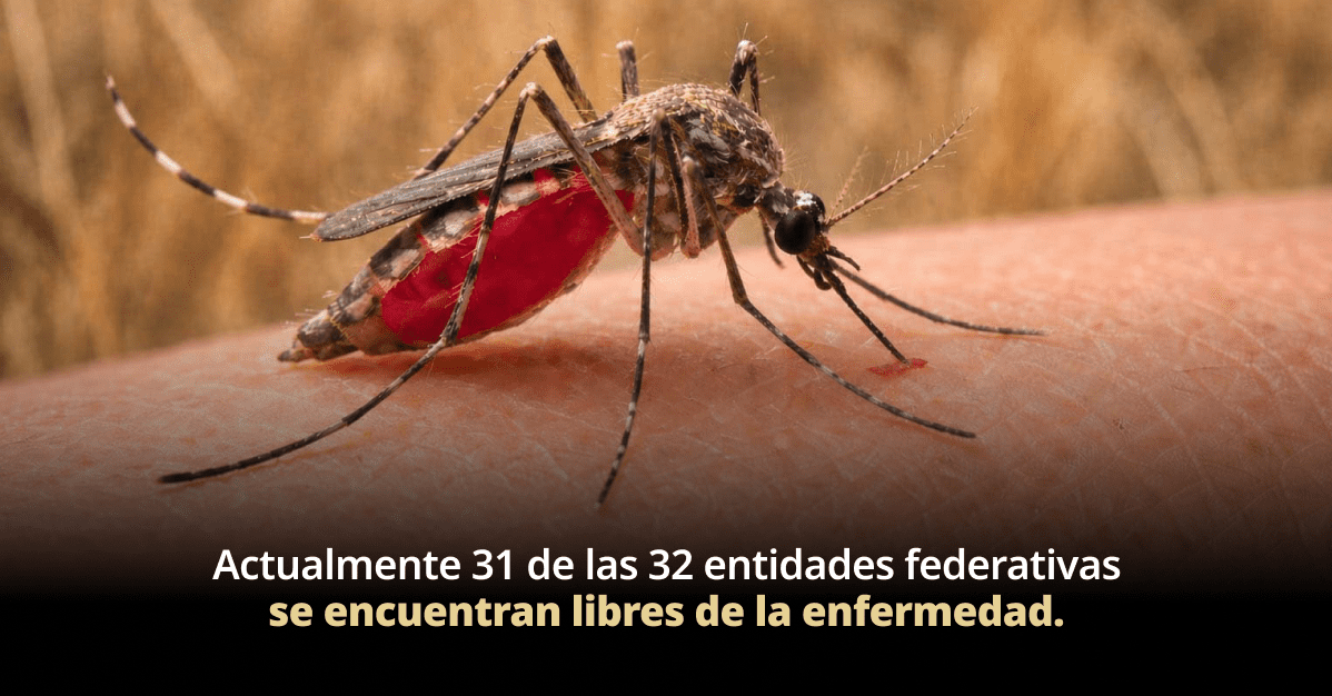 México avanza en el combate contra el paludismo