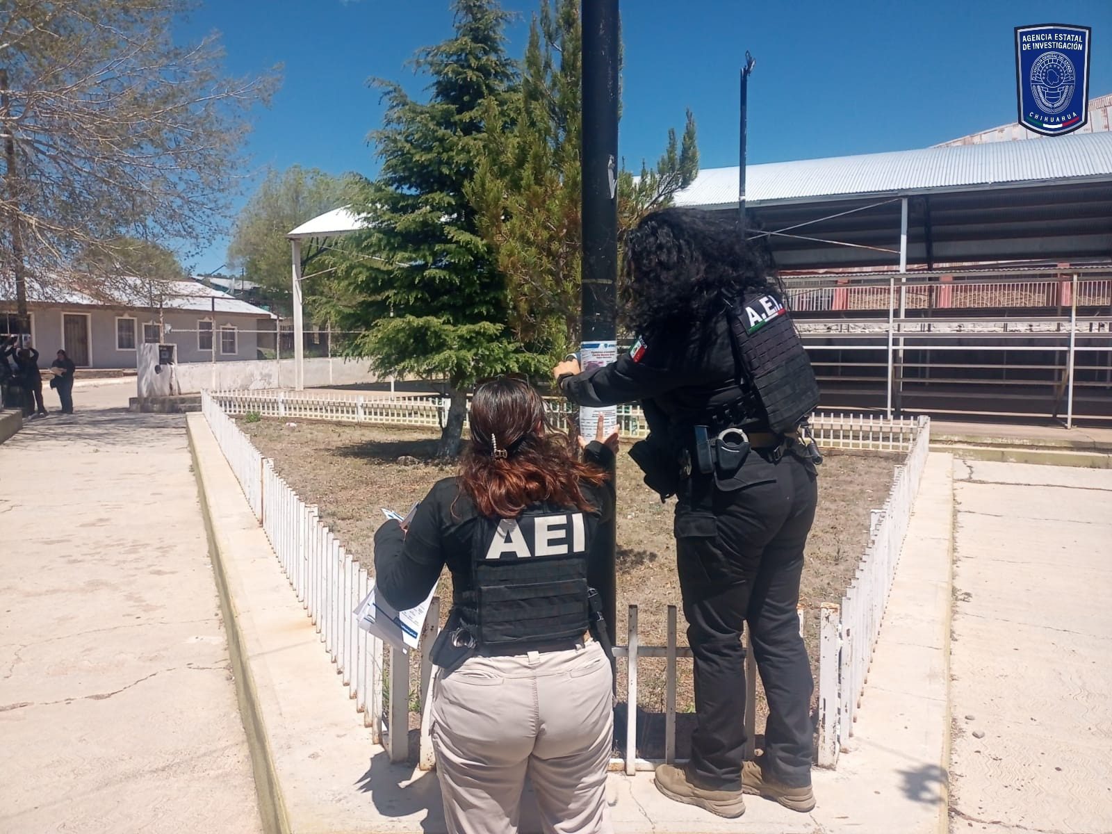 Realiza FGE acciones de búsqueda y pega de pesquisas en el municipio de Madera