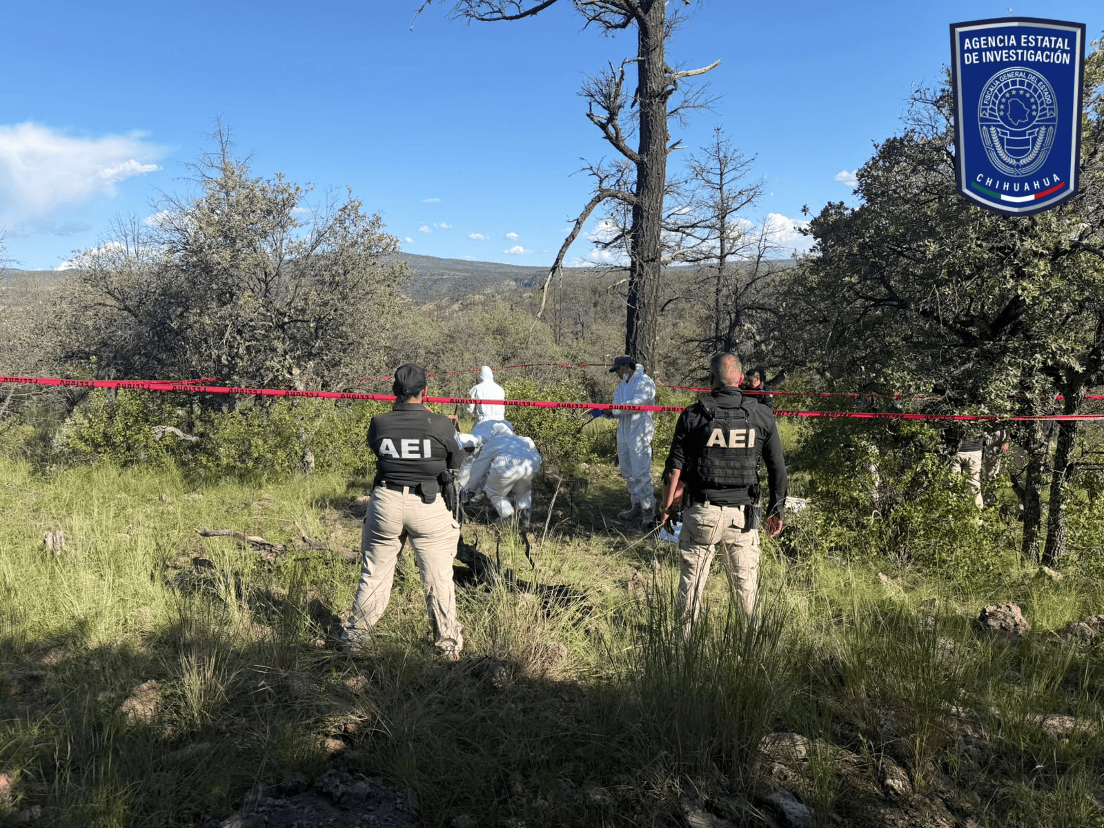 En operativo de rastreo, localiza FGE Noroeste osamentas y restos óseos en ‘El Willy’